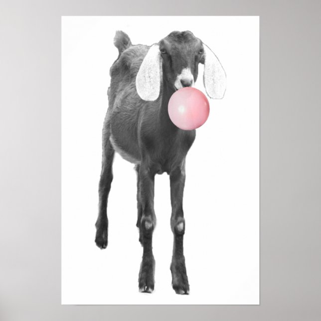 Póster Cute Goat Black Bubble Gum Nursery Child (Frente)