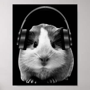 Póster Cute Guinea Pig Escuchando Dubstep