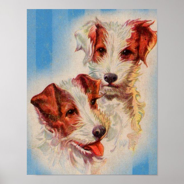 Póster CUTE Jack Russell terriers (Frente)