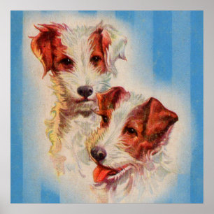Póster CUTE Jack Russell terriers poster