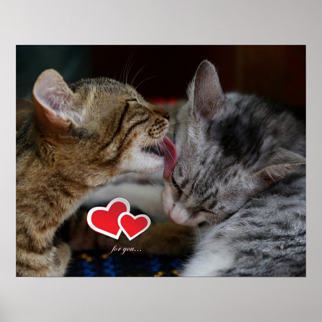 Póster Cute kittens (Frente)