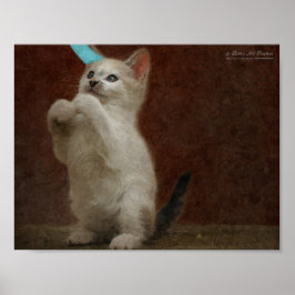 Póster Cute Kittie Poster