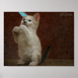 Póster Cute Kittie Poster