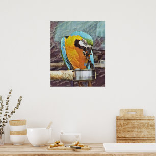 PÓSTER CUTE MACAW