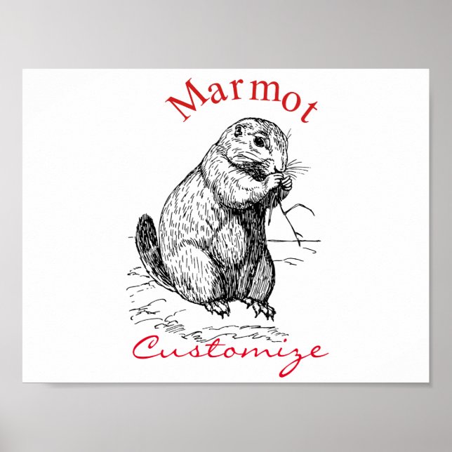 Póster Cute Marmot Animal Thunder_Cove (Frente)