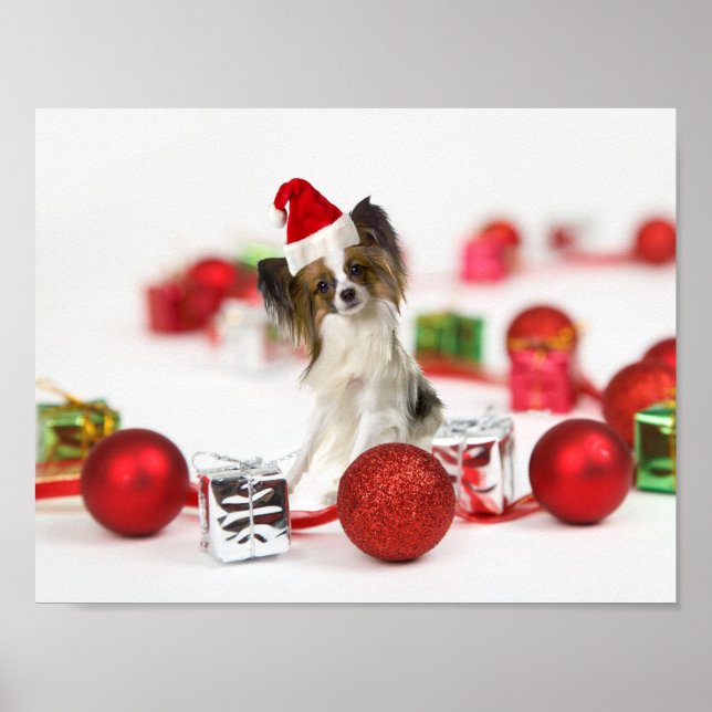 Póster Cute Papillon Dog Navidades Santa Hat (Frente)
