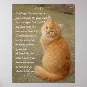Póster Cute poema Naranja Kitten Cat