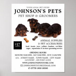 Póster Cute Pups, Tienda de Mascotas y publicidad para lo
