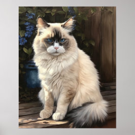 Póster Cute Ragdoll Cat Art Print Poster