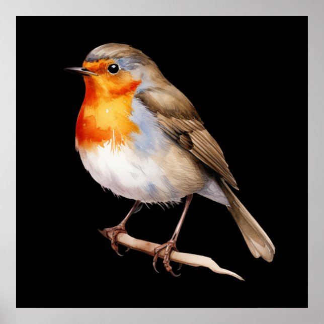 Póster Cute Robin (Frente)