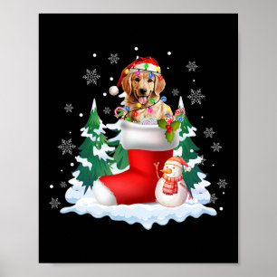 Póster Cute Santa Golden Retriever En Navidades Socks Dog