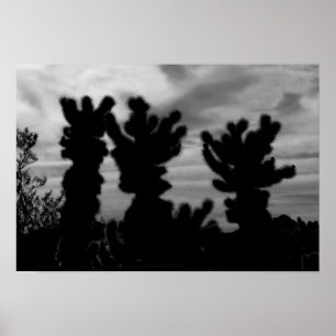 Póster CUTE Teddy Bear Cholla Cactus