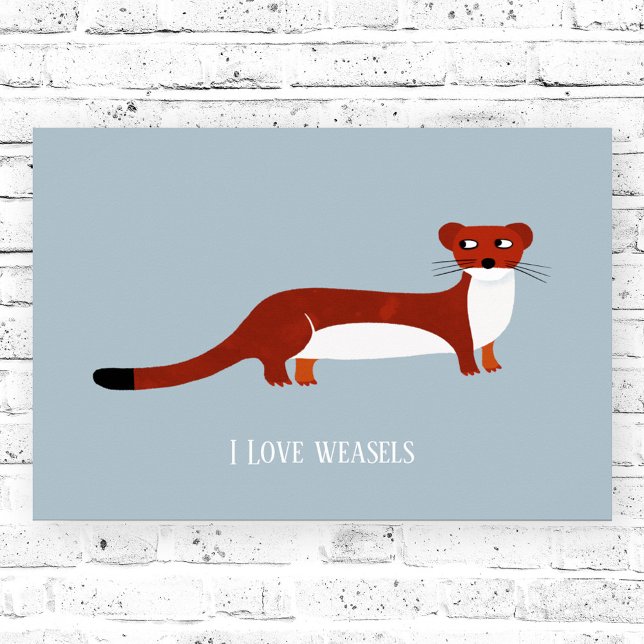Póster Cute Weasel (Weasel fun poster)