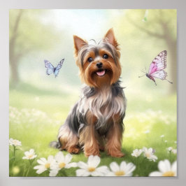 Póster Cute Yorkshire Terrier