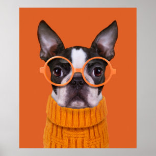 Póster Cutest Baby Animals   Orange Boston Terrier