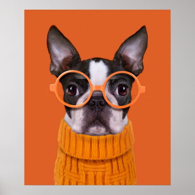 Póster Cutest Baby Animals | Orange Boston Terrier (Frente)