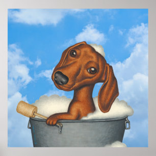 Póster Cuto Dachshund Tomando Baño De Burbujas Fuera