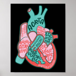 Póster Cvicu Enfermera Cardiaca Anatomía Cardíaca Humana 