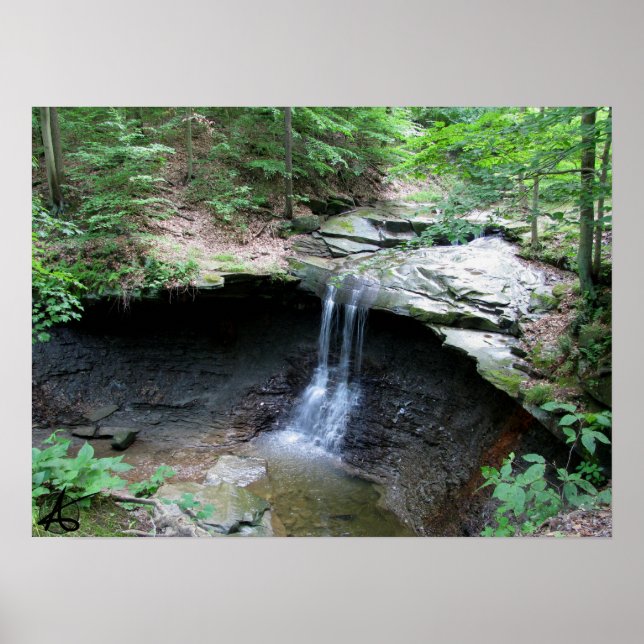 Póster CVNP - Blue Hen 2010 (Frente)