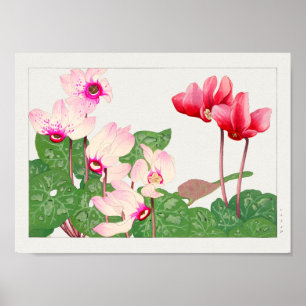 Póster Cyclamen de Tanigami Konan