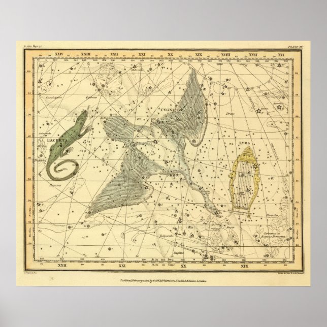 Póster Cygnus, Laceria y Via Lactea (Frente)