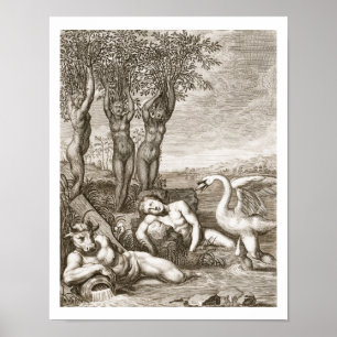 Póster Cygnus transformado en un Siste del cisne y del