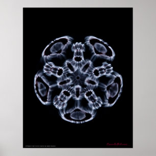 Póster Cymatics: Nota C de la música
