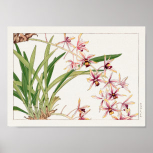 Póster Cymbidium de Tanigami Konan