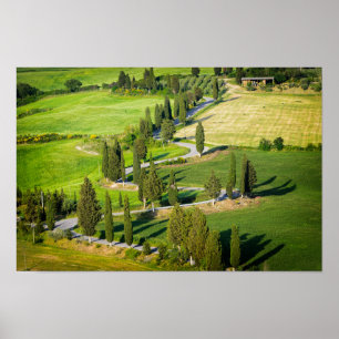 Póster Cypress alineó la carretera con curvas en Toscana