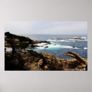 Póster Cypress Coast Print