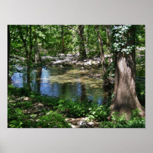 Póster Cypress Creek Poster