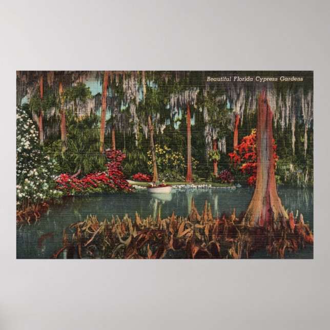 Póster Cypress Gardens Florida Poster (Frente)