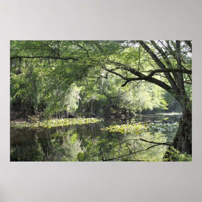 Póster Cypress River A Part Poster -60x40 -o menor (Frente)