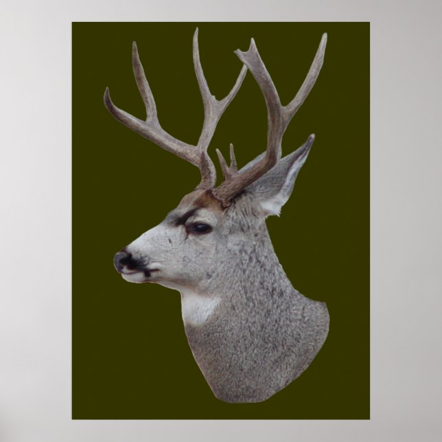 Póster D27 Mule Deer Buck Head (Frente)