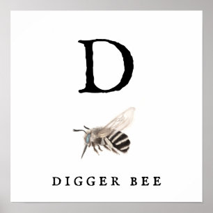 Póster "D" Digger Bee Value Poster Paper (Matte)