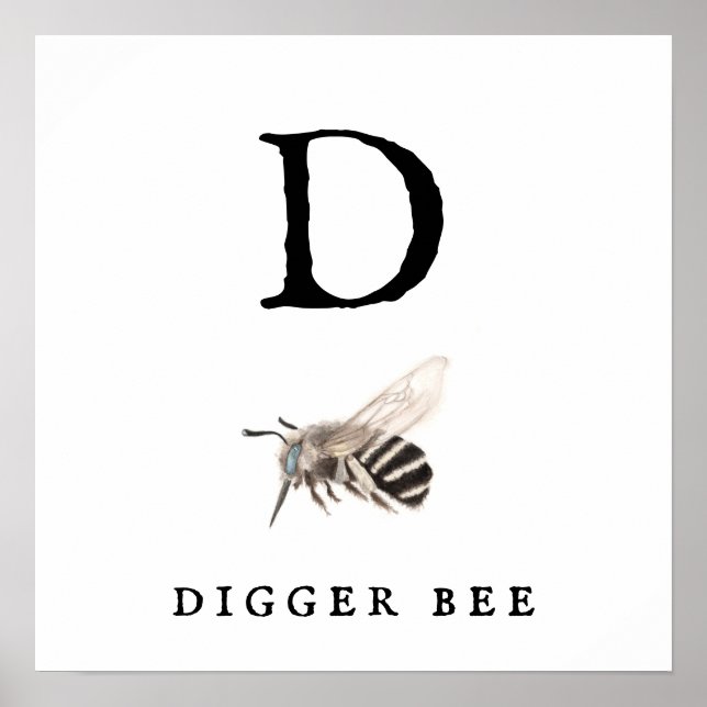 Póster "D" Digger Bee Value Poster Paper (Matte) (Frente)