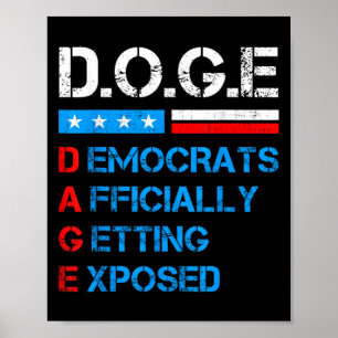 Póster D.o.e. Doge Departamento De Eficiencia Gubernament