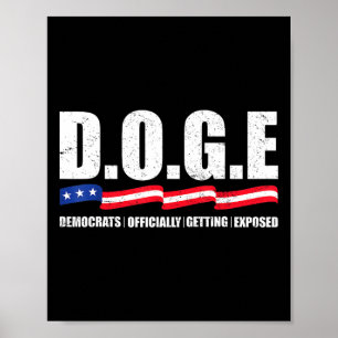 Póster D.o.g.e Doge Departamento De Eficiencia Gubernamen