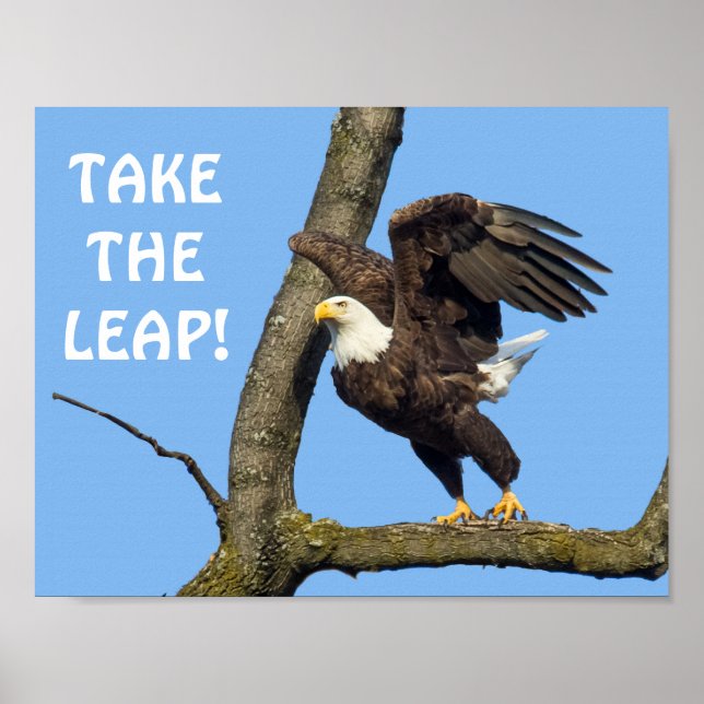 Póster ¡Da el salto! (Frente)