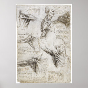 Póster Da Vinci, Leonardo - Estudio de la anatomía