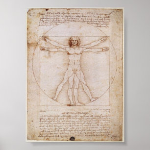 Póster Da Vinci:Vitruvian Man