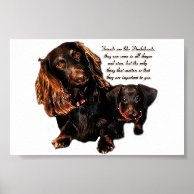 Póster Dachshund (Frente)
