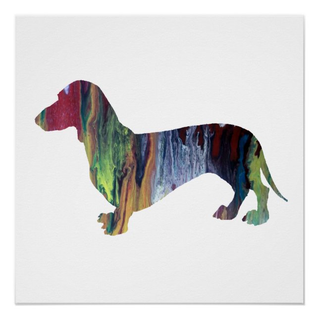 Póster dachshund (Anverso)