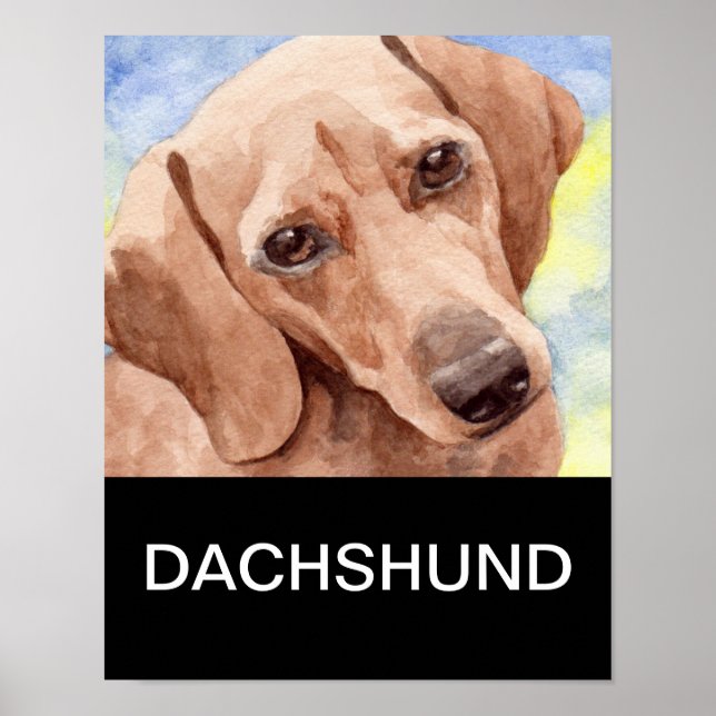 Póster Dachshund (Frente)