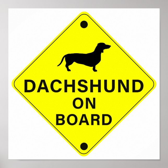 Póster Dachshund a bordo del gracioso Parachoque de Perro (Frente)