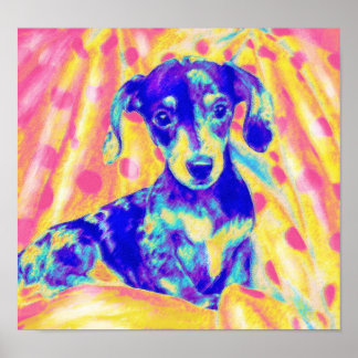 Póster dachshund arco iris