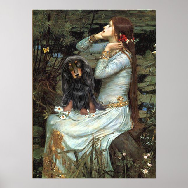 Póster Dachshund (BT de pelo largo) - Asiento de Ophelia (Frente)