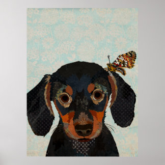 PÓSTER DACHSHUND & BUTTERFLY