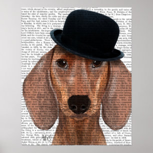 Póster Dachshund con el Gorra del Black Bowler