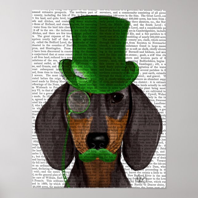 Póster Dachshund con sombrero verde superior negro (Frente)
